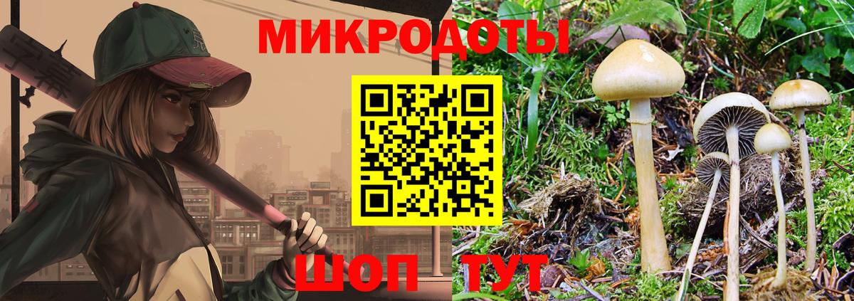 Псилоцибиновые грибы Cubensis  Псилоцибиновые грибы Psilocybine cubensis  Вход с VPN  Жигулёвск 