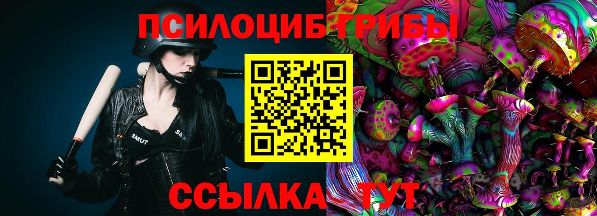 где можно купить наркотик  Жигулёвск  Псилоцибиновые грибы прущие грибы  Псилоцибиновые грибы Cubensis 
